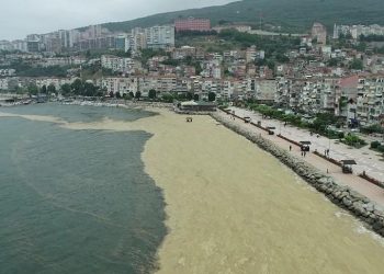 Bakanlık deniz salyası problemini ortak akılla çözecek.