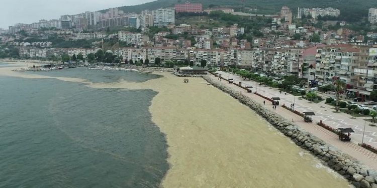 Bakanlık deniz salyası problemini ortak akılla çözecek.