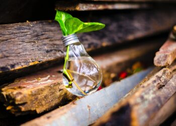 Kurumsal İnovasyon Kültürünü Yaygınlaştırmak İçin 5 Adım