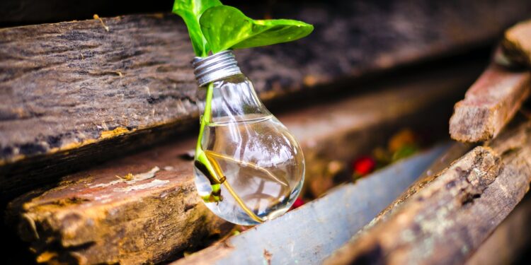 Kurumsal İnovasyon Kültürünü Yaygınlaştırmak İçin 5 Adım